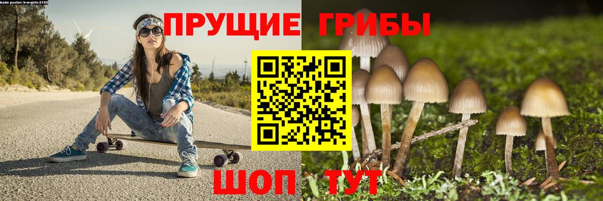 Партизанск  Галлюциногенные грибы Psilocybe  Галлюциногенные грибы GOLDEN TEACHER  Вход с VPN 
